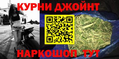 прущие грибы Жуковский