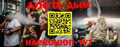 индика Дубна