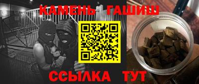 индика Дубна