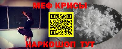 индика Дубна